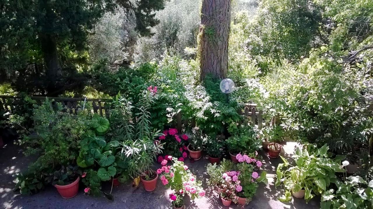 A Casa Di Carla Terracina Exterior foto